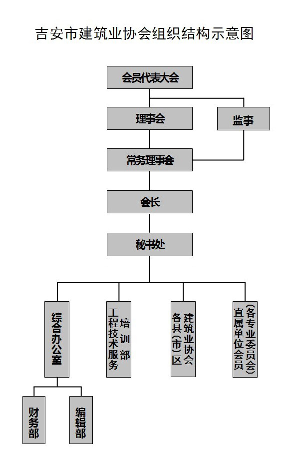 组织结构.jpeg